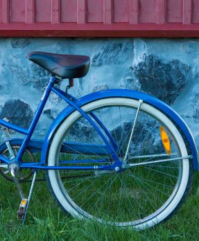 The Blue Bicycle - ©Derek Chambers